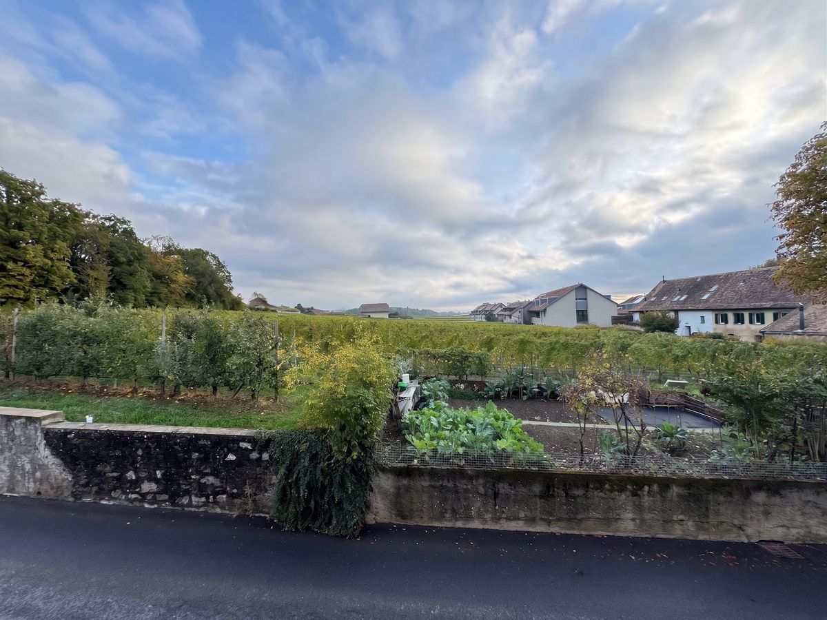 Etoy – Bel appartement de 2,5 pièces de 65 m2 avec vue sur les vignes